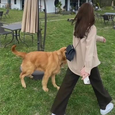 伊塞克湖的猩红色罂粟花