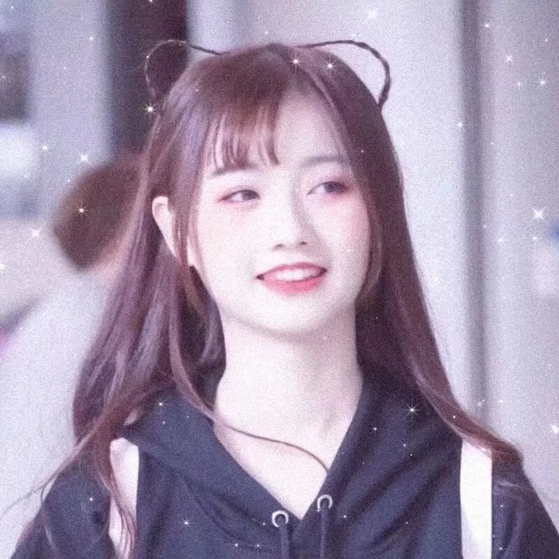 随心所问